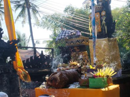 PIODALAN PURNAMA KAPAT RING KANTOR DESA JOANYAR 